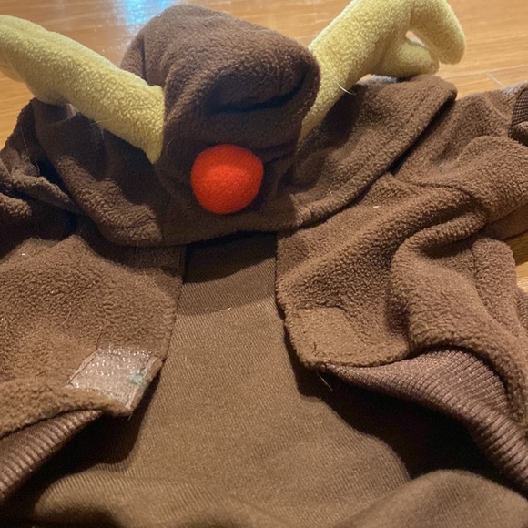 “Santa’s other reindeer” consume for smaller dogs - Picture 3 of 4